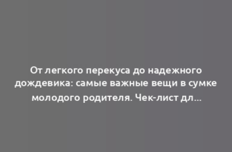 От легкого перекуса до надежного дождевика: самые важные вещи в сумке молодого родителя. Чек-лист для проверки