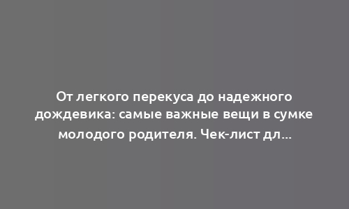 От легкого перекуса до надежного дождевика: самые важные вещи в сумке молодого родителя. Чек-лист для проверки