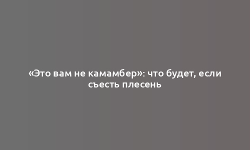 «Это вам не камамбер»: что будет, если съесть плесень