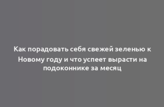 Как порадовать себя свежей зеленью к Новому году и что успеет вырасти на подоконнике за месяц