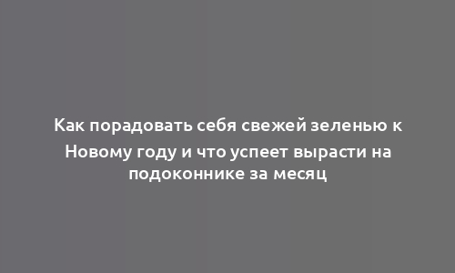 Как порадовать себя свежей зеленью к Новому году и что успеет вырасти на подоконнике за месяц