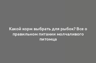 Какой корм выбрать для рыбок? Все о правильном питании молчаливого питомца