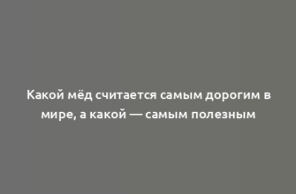 Какой мёд считается самым дорогим в мире, а какой — самым полезным