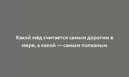 Какой мёд считается самым дорогим в мире, а какой — самым полезным