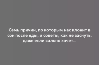 Семь причин, по которым нас клонит в сон после еды, и советы, как не заснуть, даже если сильно хочется