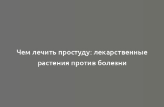 Чем лечить простуду: лекарственные растения против болезни