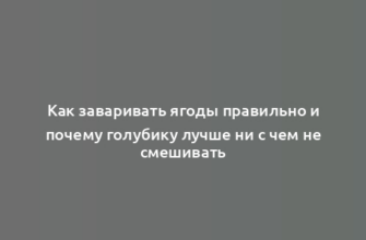 Как заваривать ягоды правильно и почему голубику лучше ни с чем не смешивать