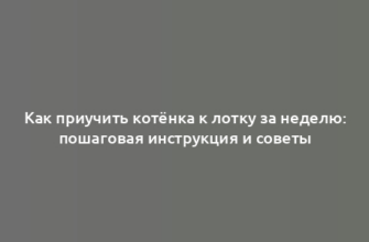 Как приучить котёнка к лотку за неделю: пошаговая инструкция и советы