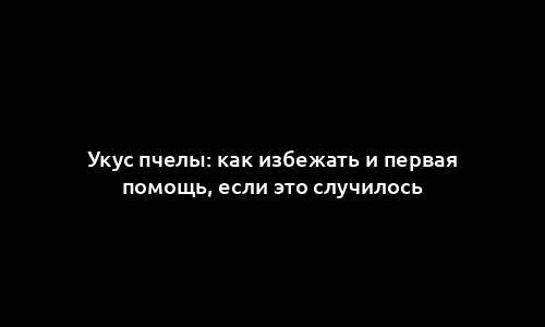 Укус пчелы: как избежать и первая помощь, если это случилось