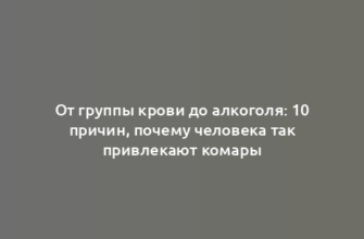 От группы крови до алкоголя: 10 причин, почему человека так привлекают комары