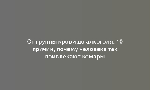 От группы крови до алкоголя: 10 причин, почему человека так привлекают комары