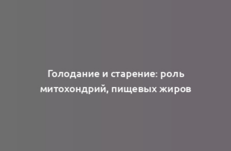 Голодание и старение: роль митохондрий, пищевых жиров