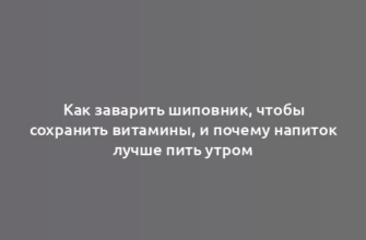 Как заварить шиповник, чтобы сохранить витамины, и почему напиток лучше пить утром