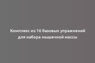 Комплекс из 16 базовых упражнений для набора мышечной массы