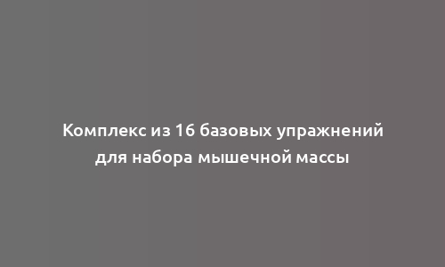 Комплекс из 16 базовых упражнений для набора мышечной массы