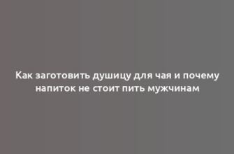 Как заготовить душицу для чая и почему напиток не стоит пить мужчинам