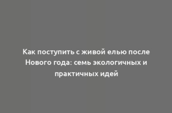 Как поступить с живой елью после Нового года: семь экологичных и практичных идей