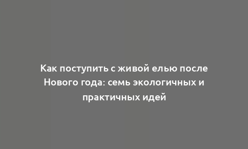 Как поступить с живой елью после Нового года: семь экологичных и практичных идей