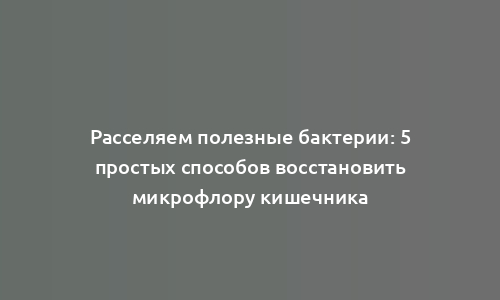 Расселяем полезные бактерии: 5 простых способов восстановить микрофлору кишечника