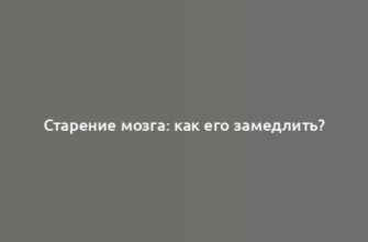 Старение мозга: как его замедлить?