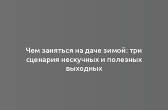 Чем заняться на даче зимой: три сценария нескучных и полезных выходных