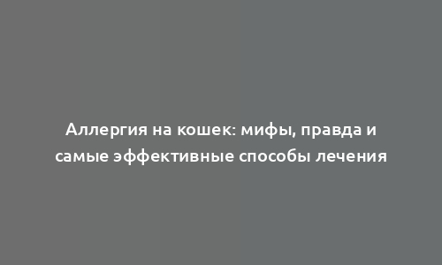 Аллергия на кошек: мифы, правда и самые эффективные способы лечения