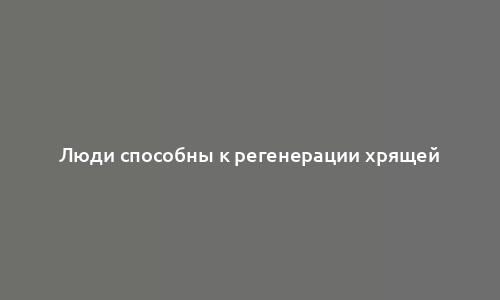 Люди способны к регенерации хрящей